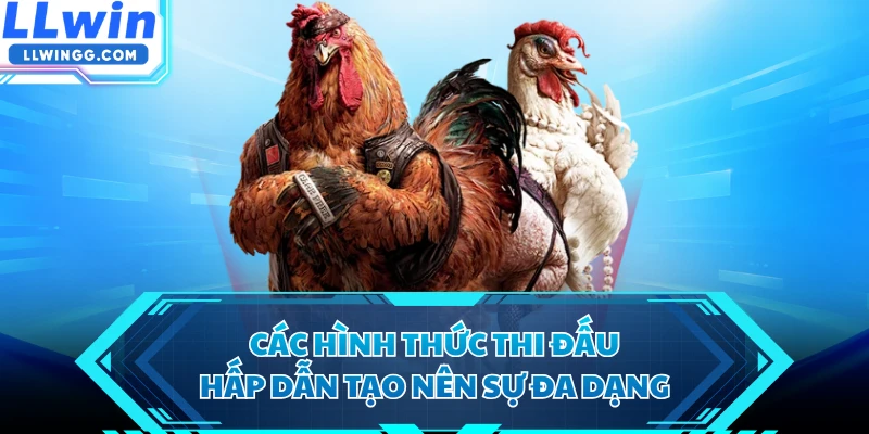 Các hình thức thi đấu hấp dẫn tạo nên sự đa dạng