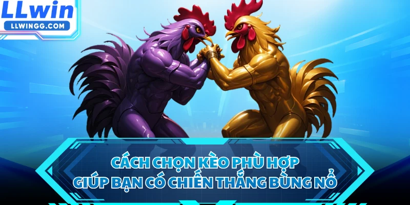 Cách chọn kèo phù hợp giúp bạn có chiến thắng bùng nổ