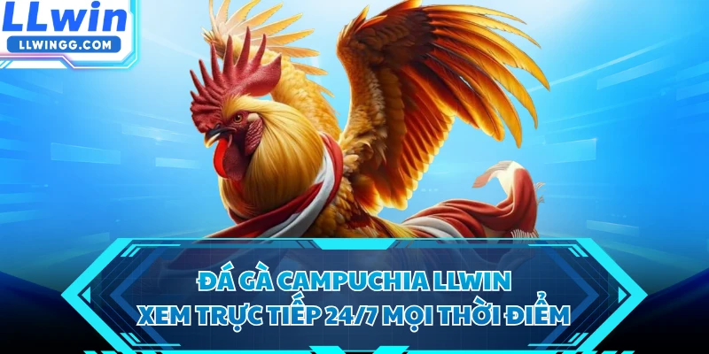 Đá Gà Campuchia LLWIN - Xem Trực Tiếp 24/7 Mọi Thời Điểm