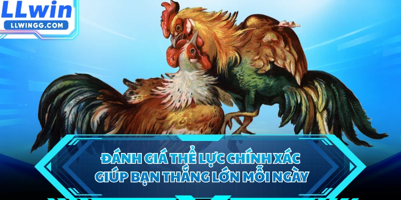Đánh giá thể lực chính xác giúp bạn thắng lớn mỗi ngày