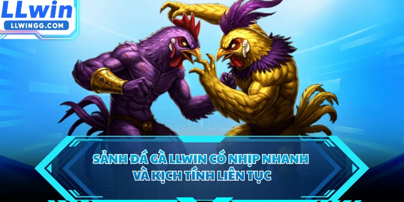 Sảnh đá gà LLWIN có nhịp nhanh và kịch tính liên tục